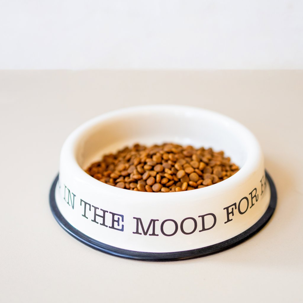 F/10   EMAYE PET BOWLS (MAMA KABI)  FİL DİŞİ