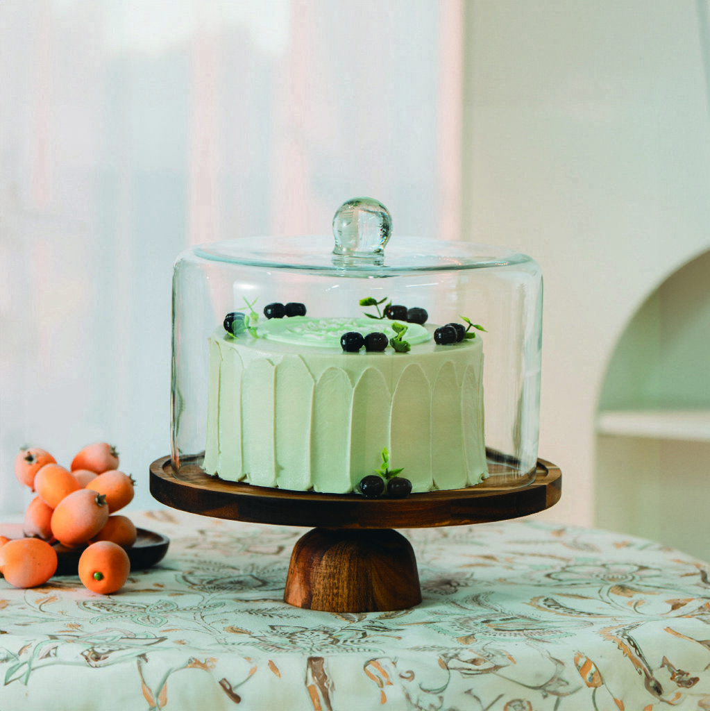 V/16  ENVY CAM KEK FANUSU