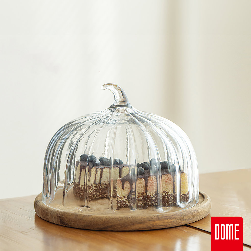 L/1  TERRY CAM KEK FANUSU